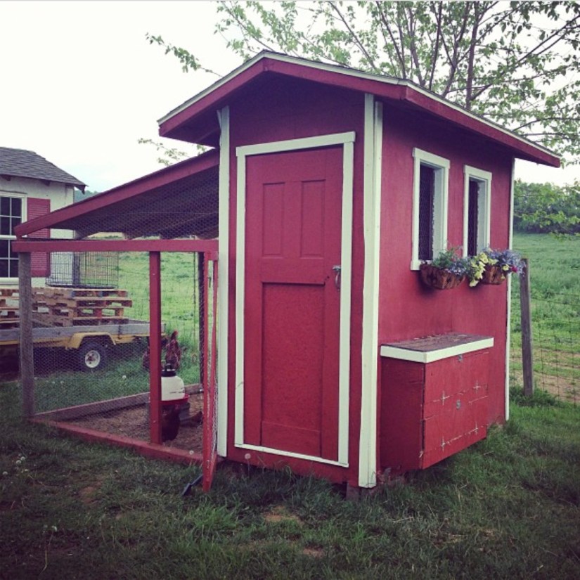 OG Chicken Coop